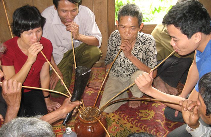 Nguồn gốc của ống hút tre
